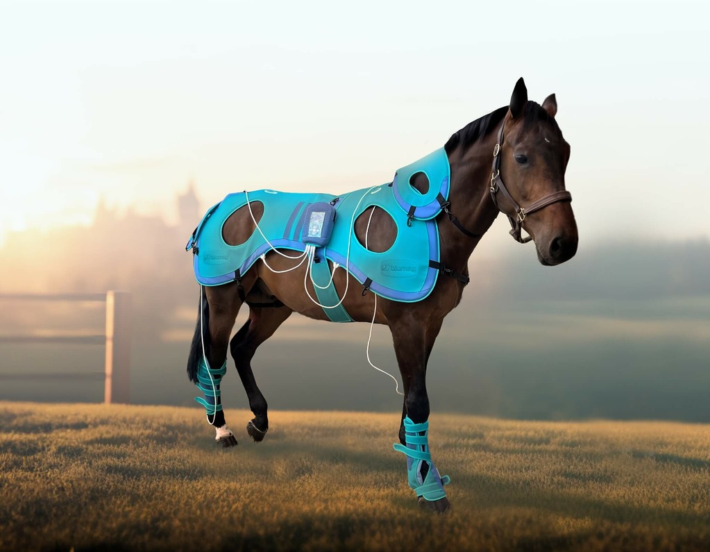 Veterinaire magneetveldtherapie van Biomag